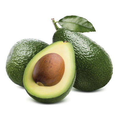 Avocado Grafted Tree
