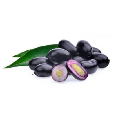 Thai Black Jamun Grafted Tree