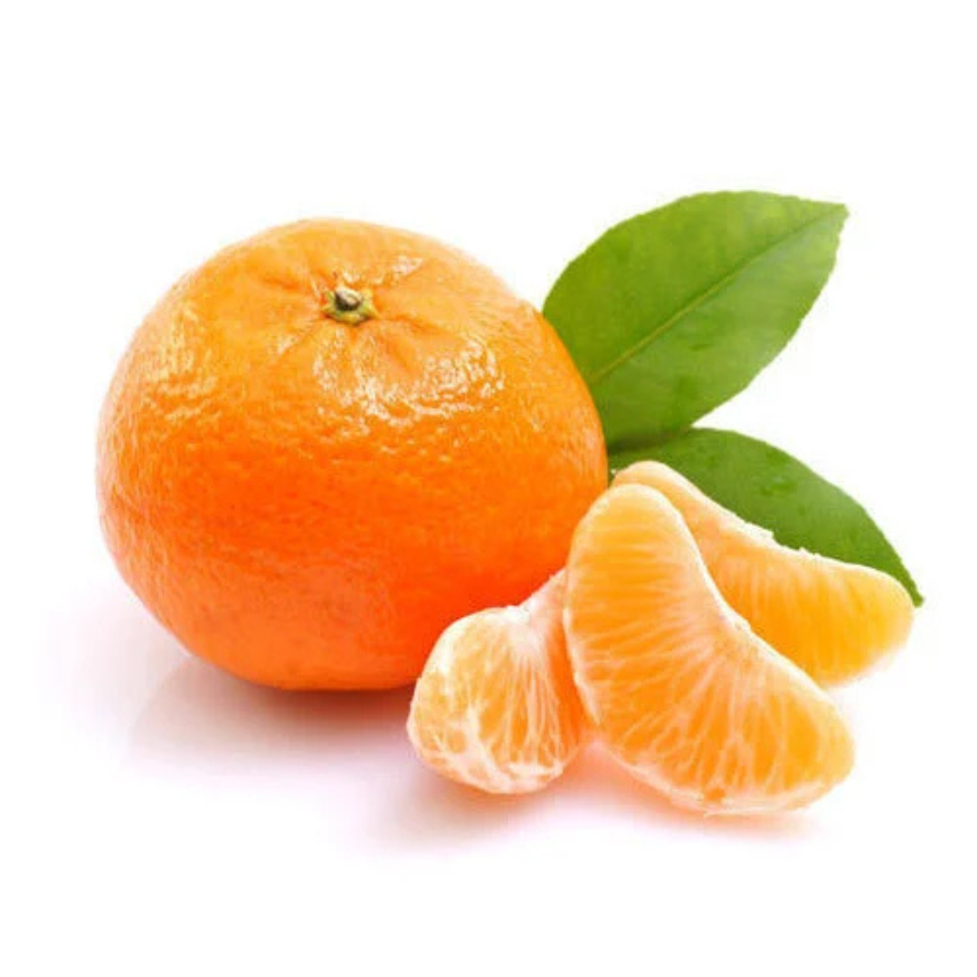 Nagpur Orange Grafted Tree