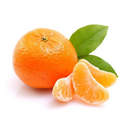 Nagpur Orange Grafted Tree