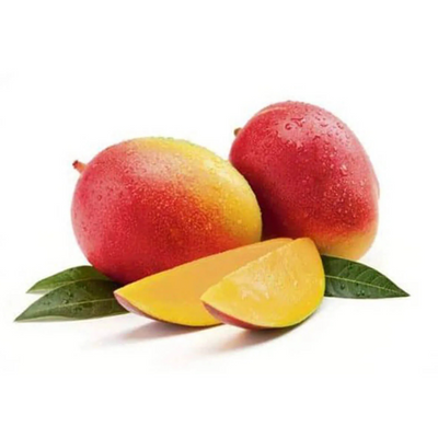 Gulabkhas Mango Grafted Tree