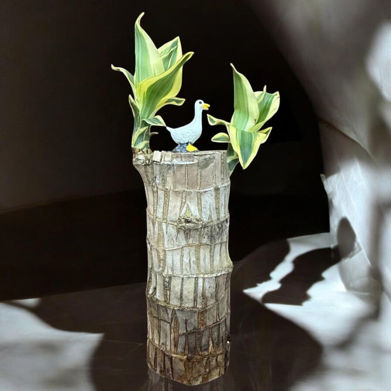 Brazilian Wood Plant - Bloomed - plant store® 
