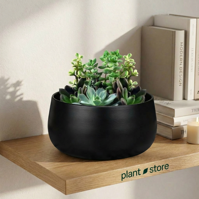 Noir Curve Planter