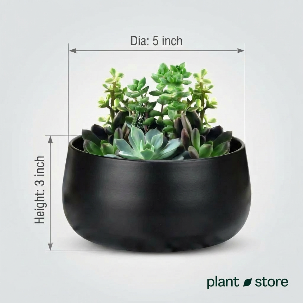 Noir Curve Planter