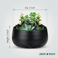 Noir Curve Planter
