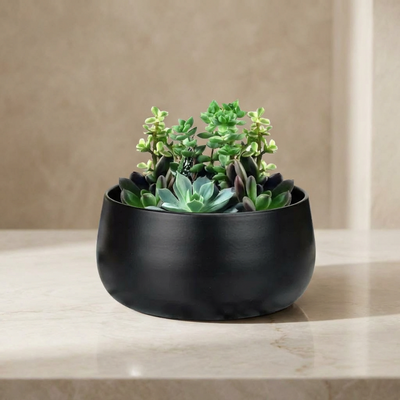 Noir Curve Planter
