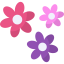 Fragrant