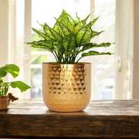Hammered Planter (Bundle of 2)