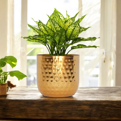 Hammered Planter (Bundle of 2)