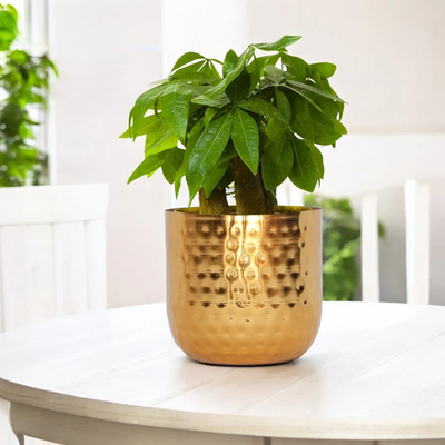 Hammered Planter (Bundle of 2)