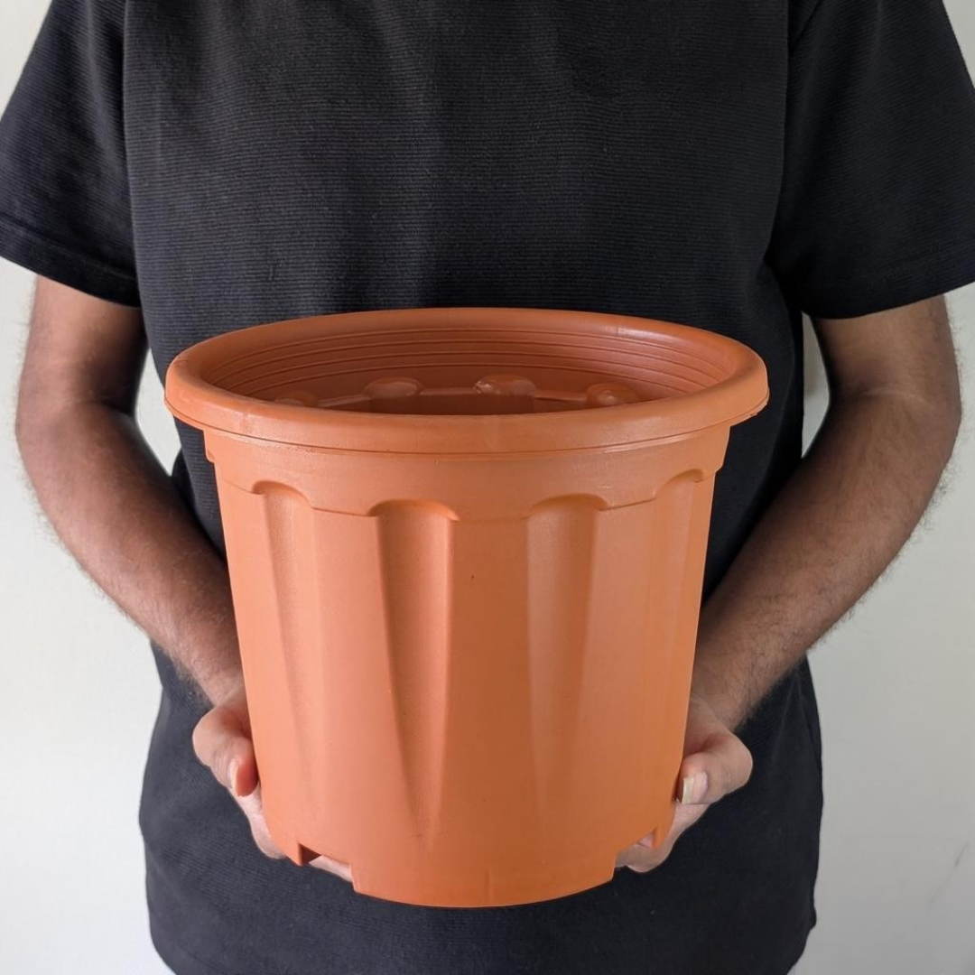Nursery Grow Pots
